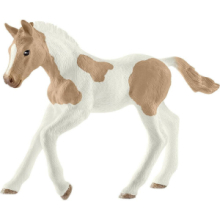 Puledro Paint Horse