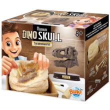 Teschio Di T-Rex Da Scavare