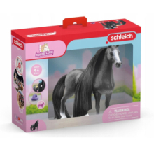 Promo Giumenta Quarter Horse - Beauty Horse