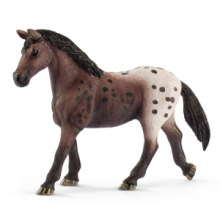 Giumenta Appaloosa