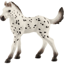 Puledro Knabstrupper